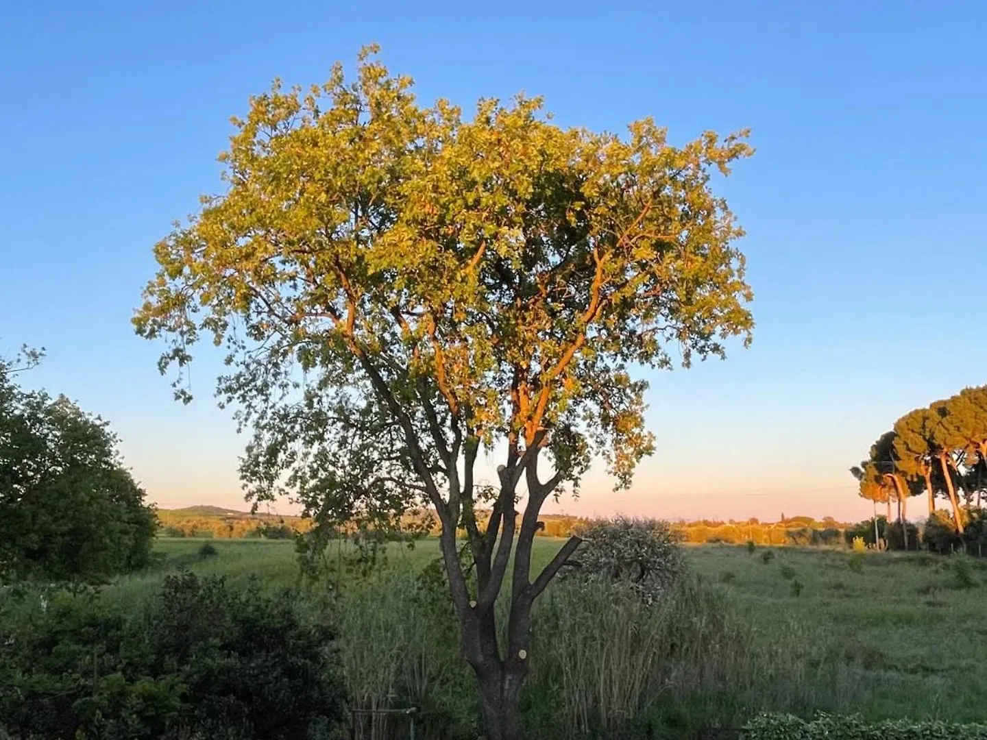 La Quercia Holiday Home Capalbio 0*,